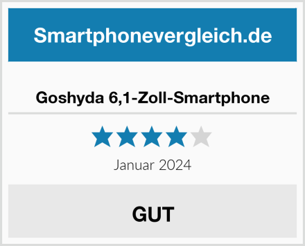  Goshyda 6,1-Zoll-Smartphone Test